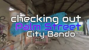 Checking out Palm Street - City Bando