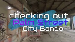 Checking out Palm Street - City Bando
